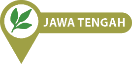 Jawa Tenga