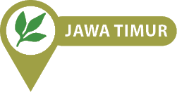 Jawa Timu