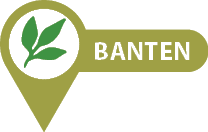 Bante