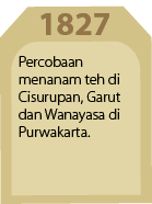 1827,Percobaan menanam teh di Cisurupan, Garut dan Wanayasa di Purwakarta