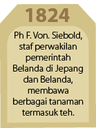 1824,Ph F. Von. Siebold, staf perwakilan pemerintah Belanda di Jepang dan Belanda, membawa berbagai tanaman termasuk teh