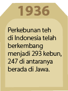 1936,Perkebunan teh di Indonesia telah berkembang menjadi 293 kebun, 247 di antaranya berada di Jawa