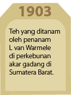 1903,Teh yang ditanam oleh penanam L van Warmele di perkebunan akar gadang di Sumatera Barat