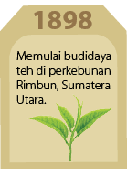 1898,Memulai budidaya teh di perkebunan Rimbun, Sumatera Utara