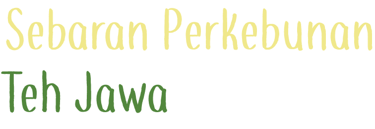 Teh Jawa,Sebaran Perkebuna